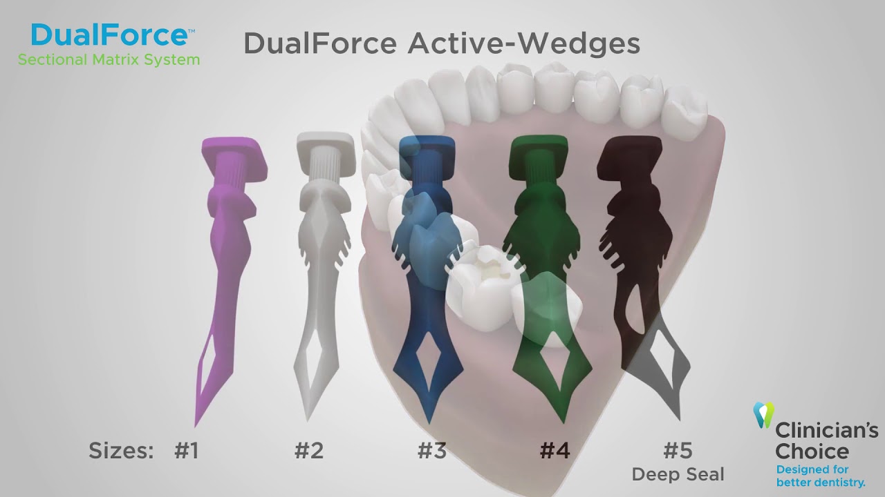 DUAL-FORCE aktívne klinky